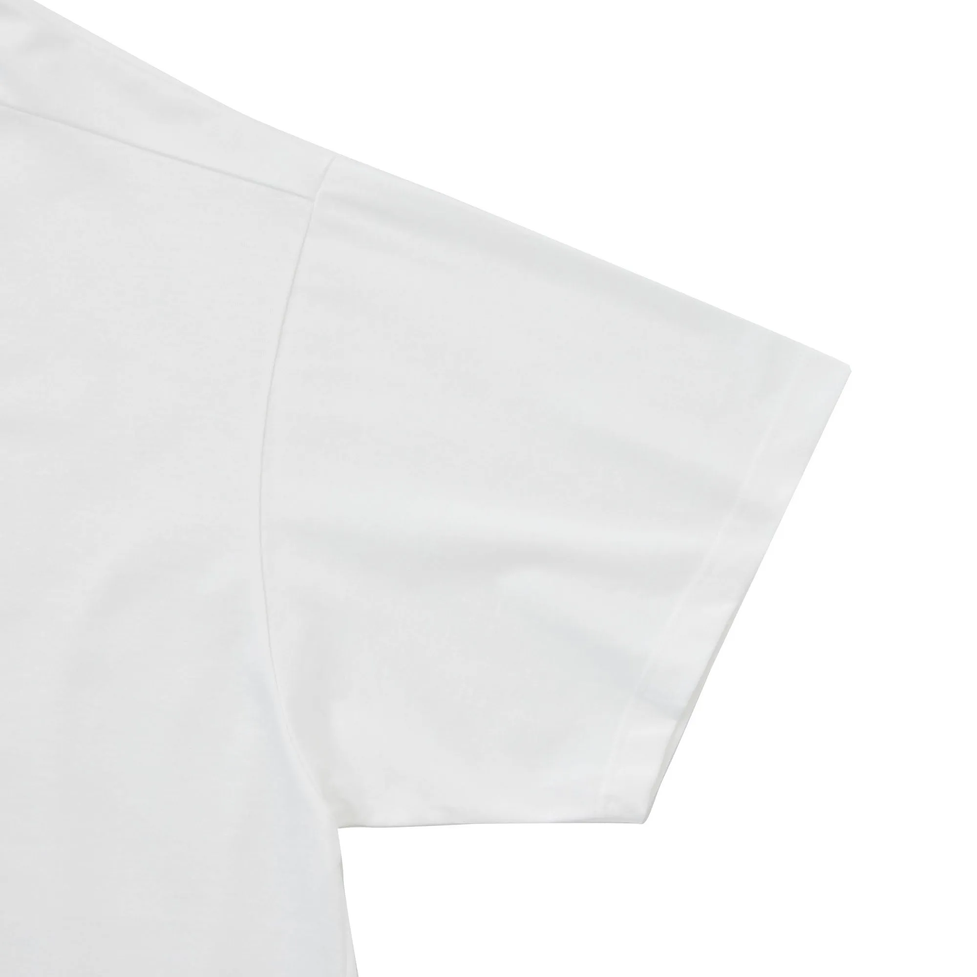 BSQ ROUND TAIL BIG T