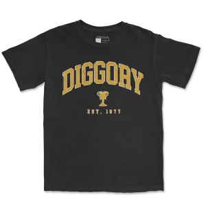 Diggory Surname Garment Dyed Tee