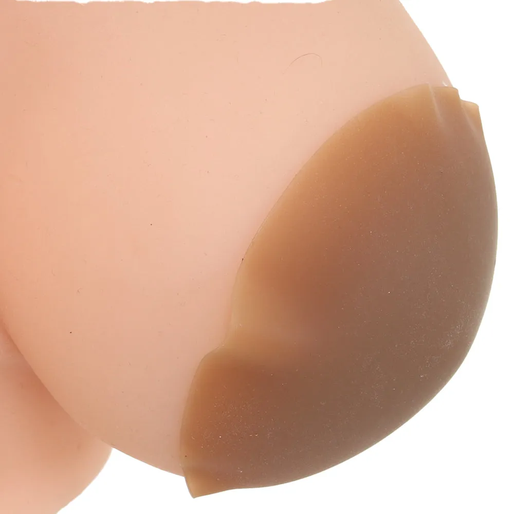 Intimately GG 3 Pack Nipple Covers in Dark