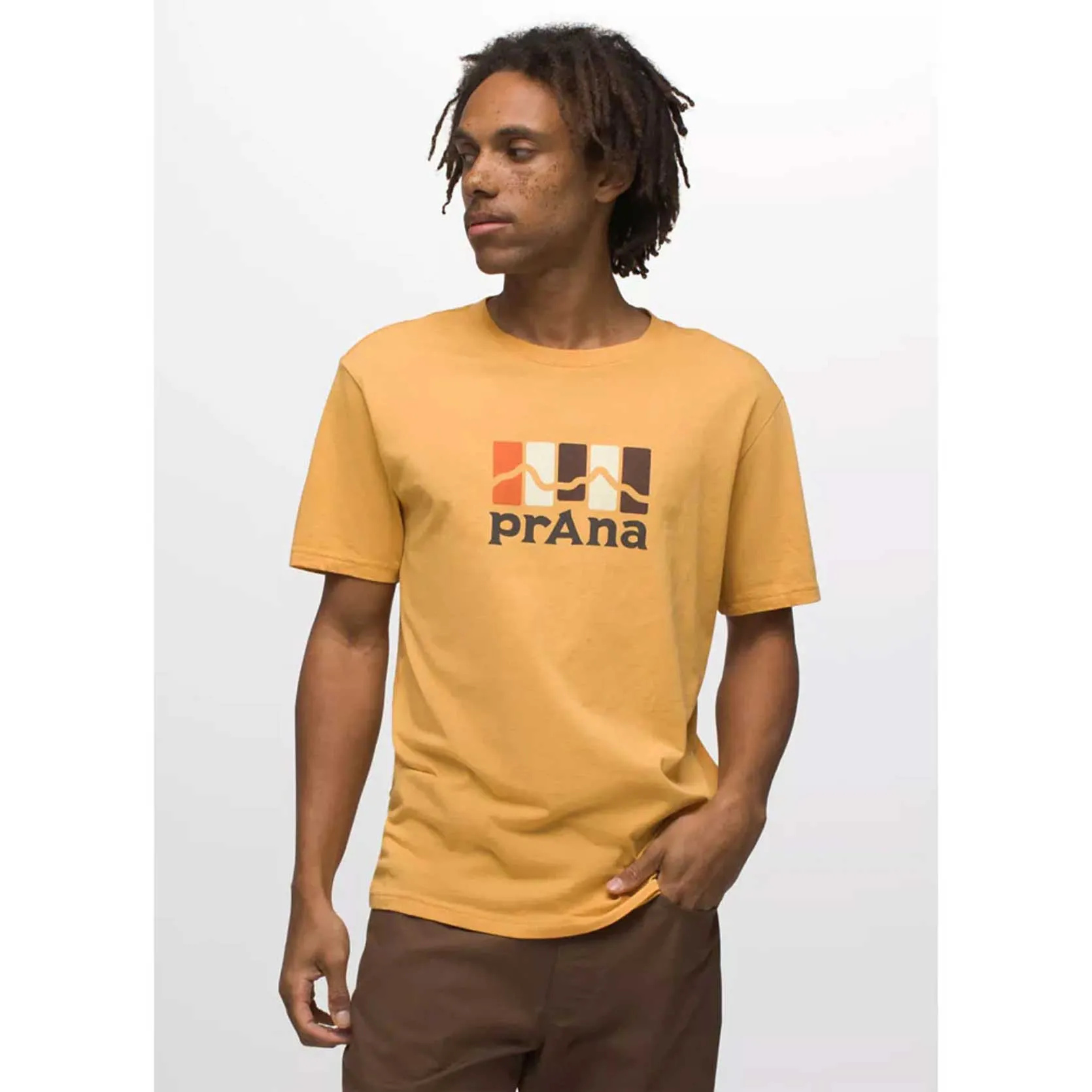 Mens Prana Mountain Light Tee