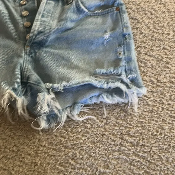 Parker Vintage Cutoff Shorts