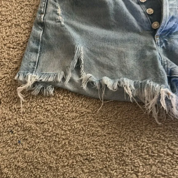 Parker Vintage Cutoff Shorts