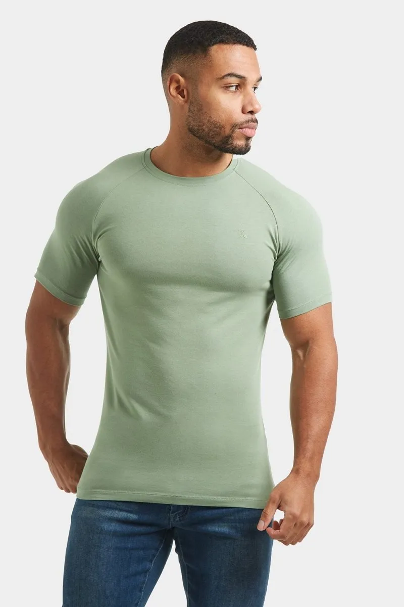 Premium Muscle Fit T-Shirt in Sage