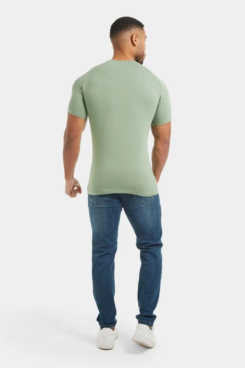 Premium Muscle Fit T-Shirt in Sage
