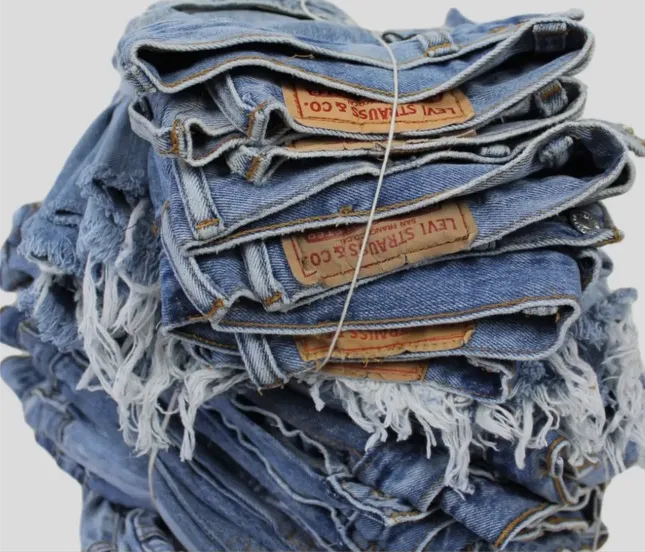 Vintage Levi Shorts