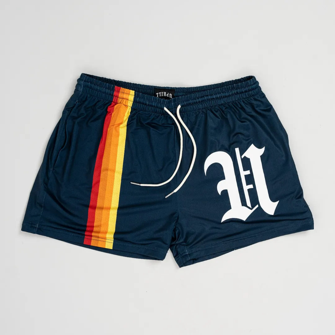 Vintage Stripe Shorts - Navy